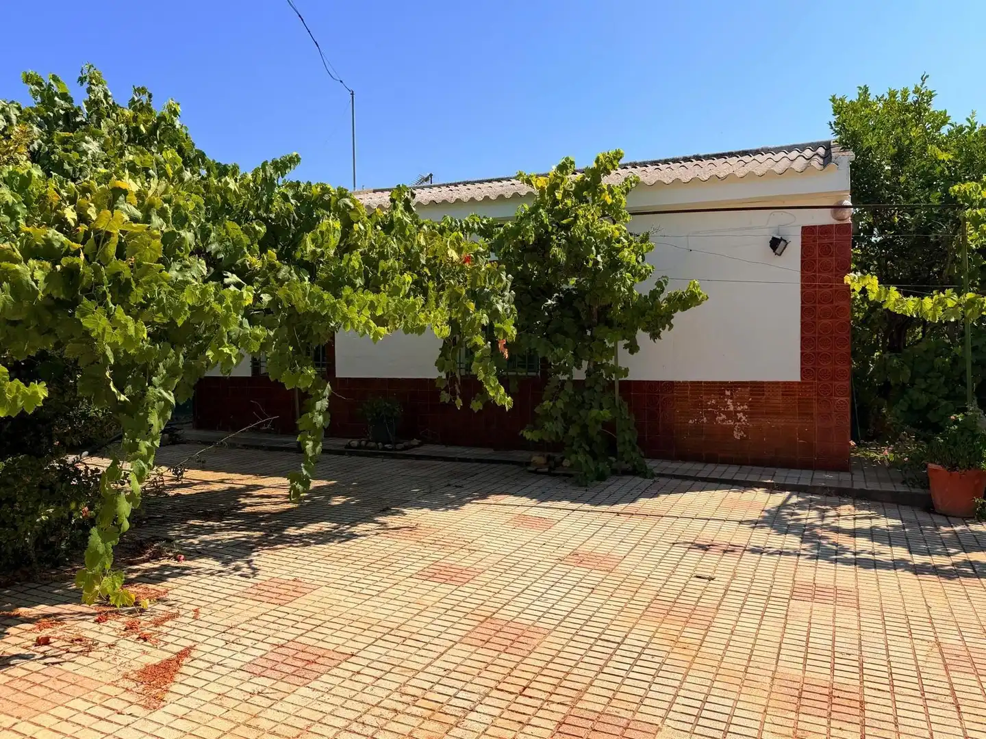 Vista exterior de Casa o chalet en venta en Valverde de Mérida con Jardín privado, Terraza y Trastero