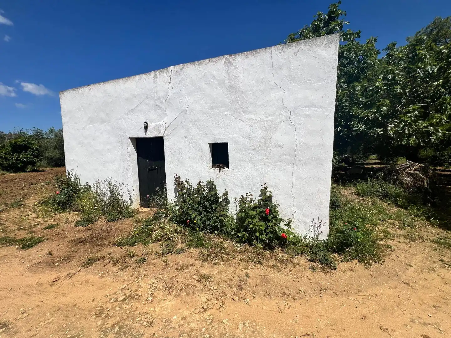 Casa rústica en venda a Vejer, imagen 13