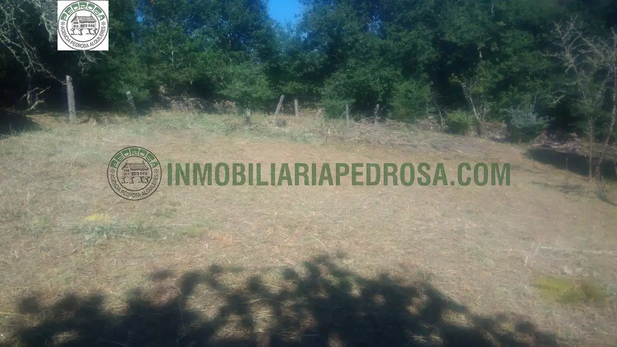 Finca rústica en venta en Campo Lameiro