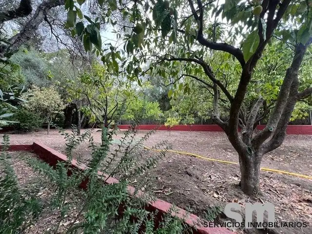 Terreno rustico in vendita a Ubrique, imagen 19