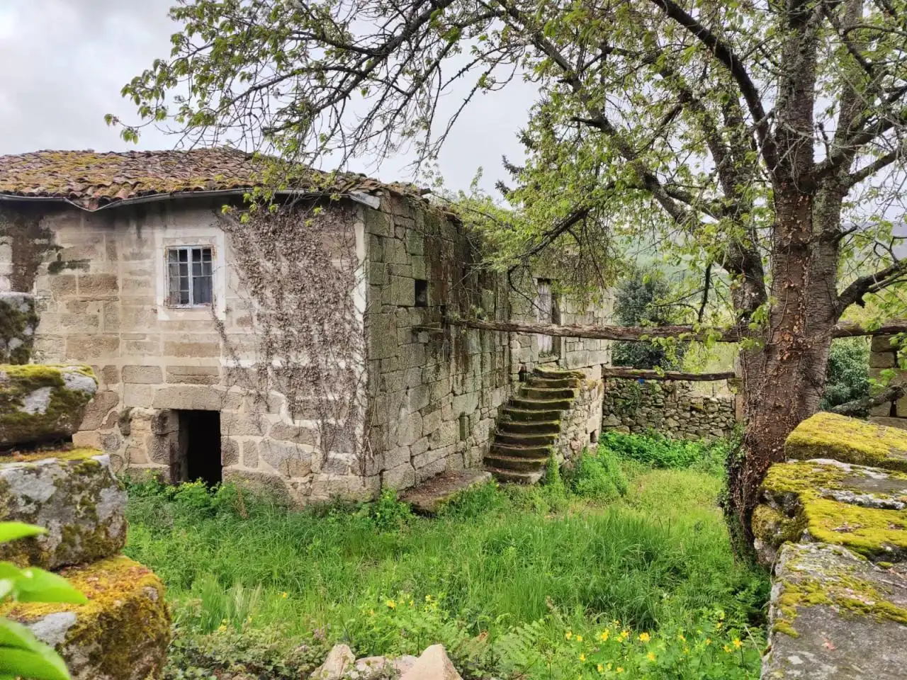 Vista exterior de Casa o xalet en venda en Paderne de Allariz amb Calefacció i Jardí privat