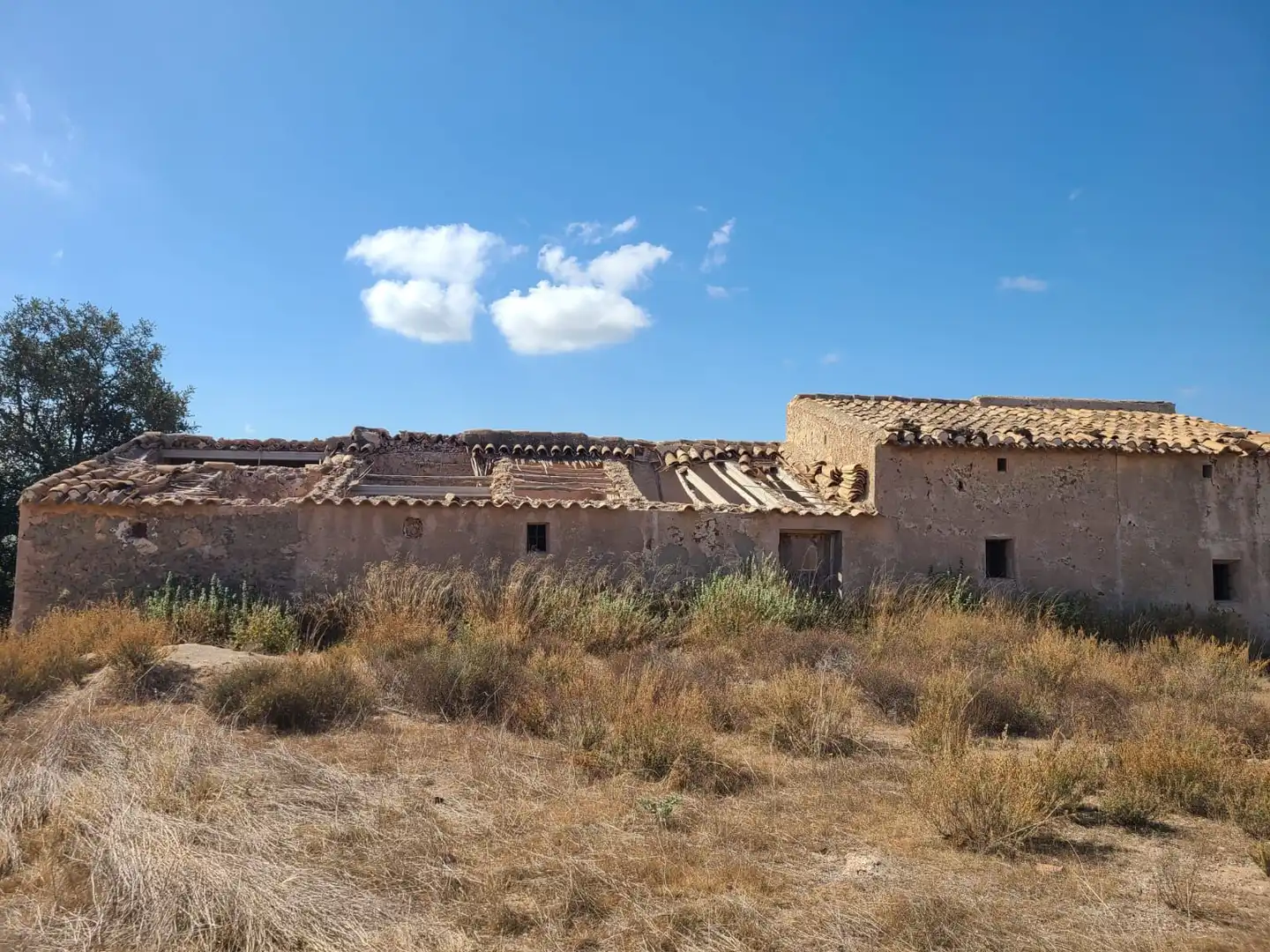 Terrains et parcelles à vendre à Pedanías Centro, imagen 6