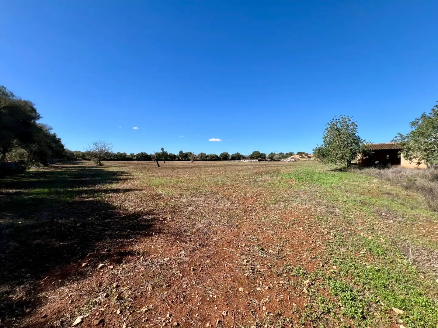 Lands and plots for sale in Zona Rústica - Interior, imagen 12