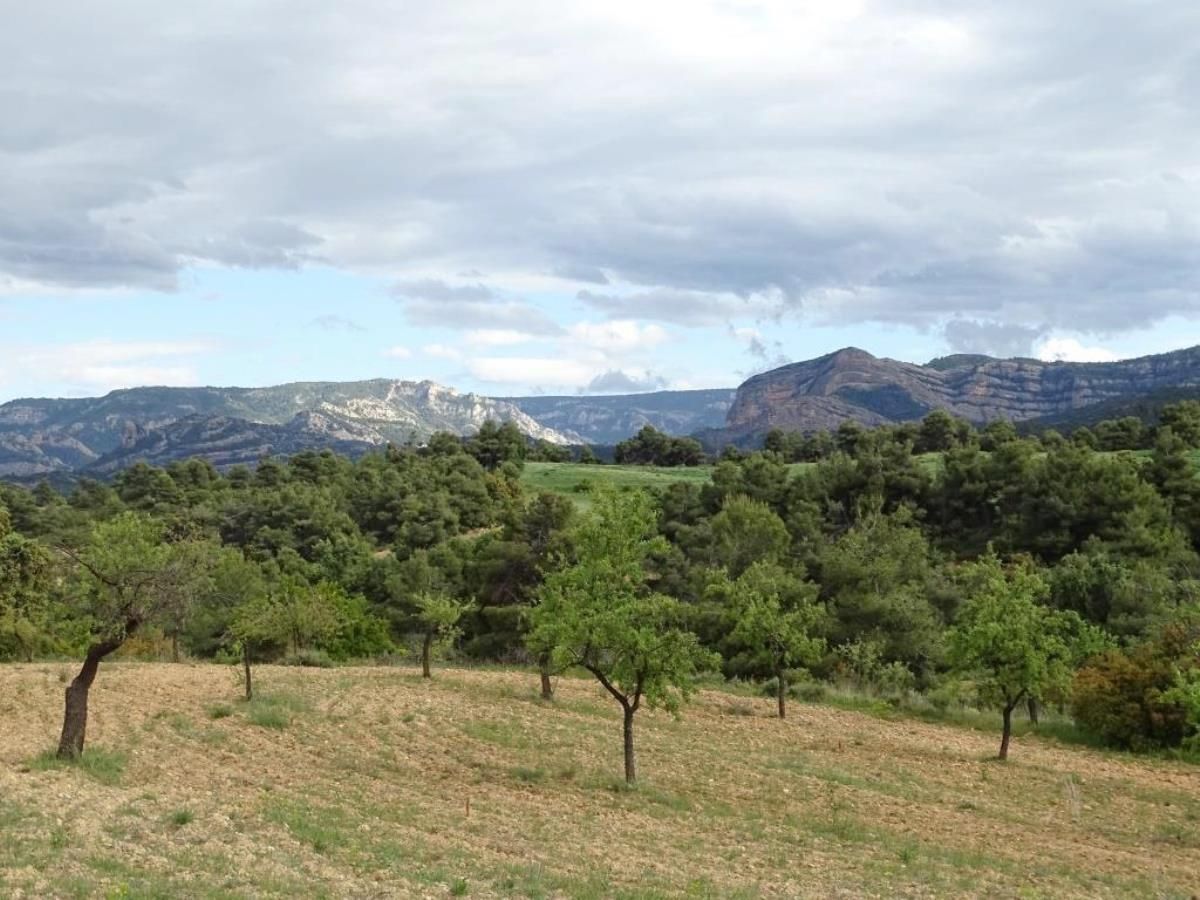 Finca rústica en venta en Cretas