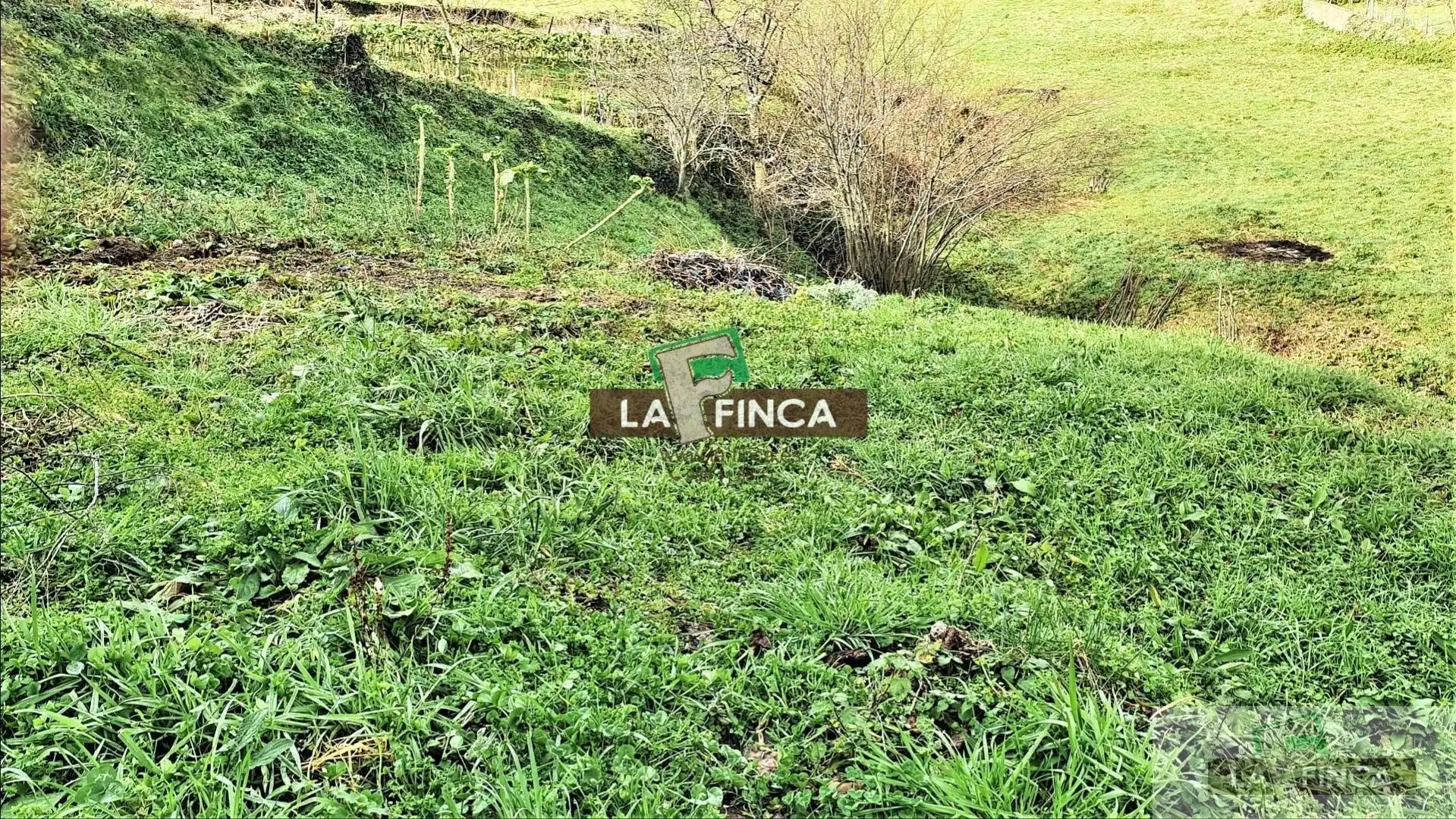 Casa o chalet en venta en Cangas del Narcea
