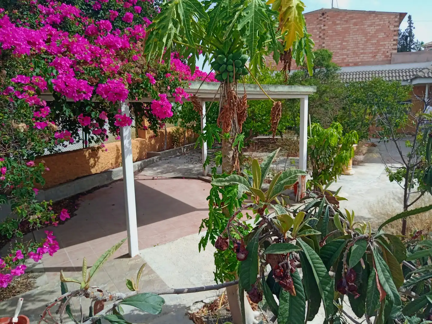 Terraza de Casa o chalet en venta en Murcia con Aire acondicionado, Calefacción y Jardín privado