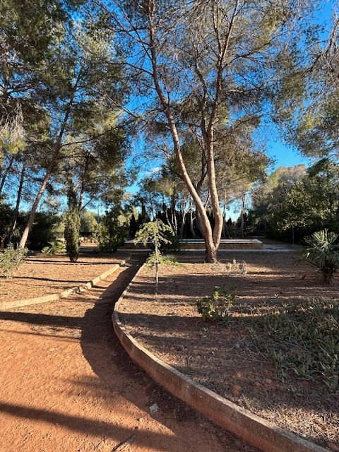 House or chalet for sale in Los Pinares - La Masia  , Bétera