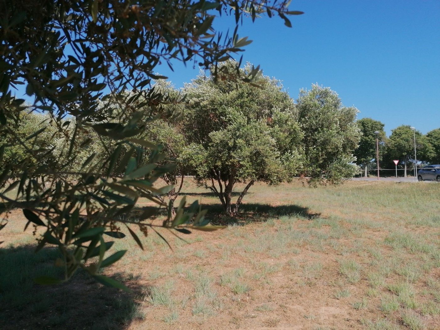 Residencial en venda en Cubelles