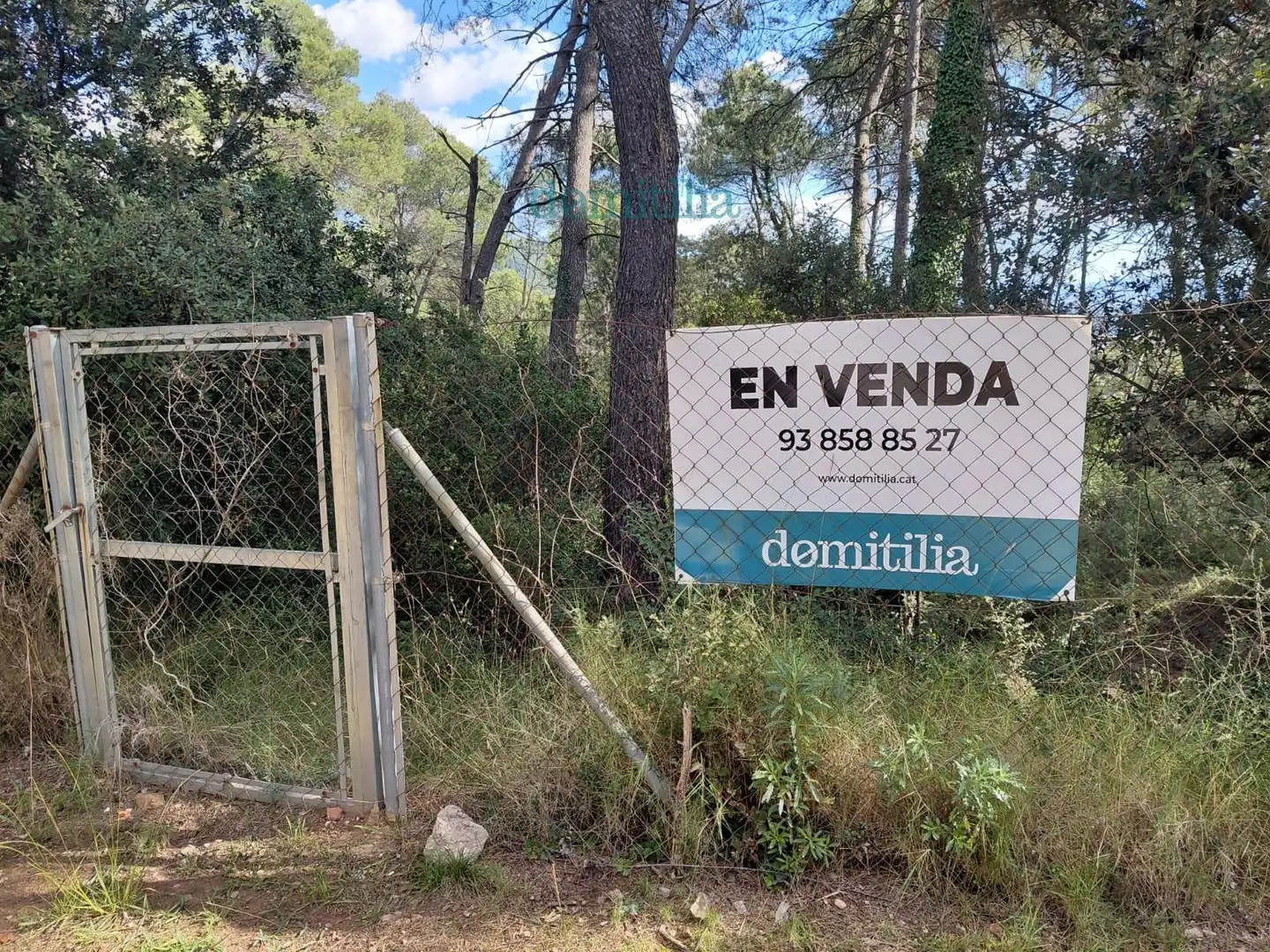Terreny rústic en venda a de les Pinasses, imagen 3