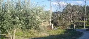 Terrain rustique à vendre à El Llombo