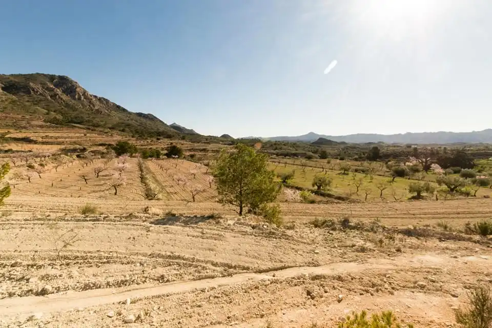 Terrenys i solars en venda a Camino Vereda 3, imagen 4