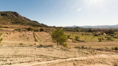 SE VENDE SUELO URBANIBLE EN BARINAS ( ABANILLA ), immagine 4