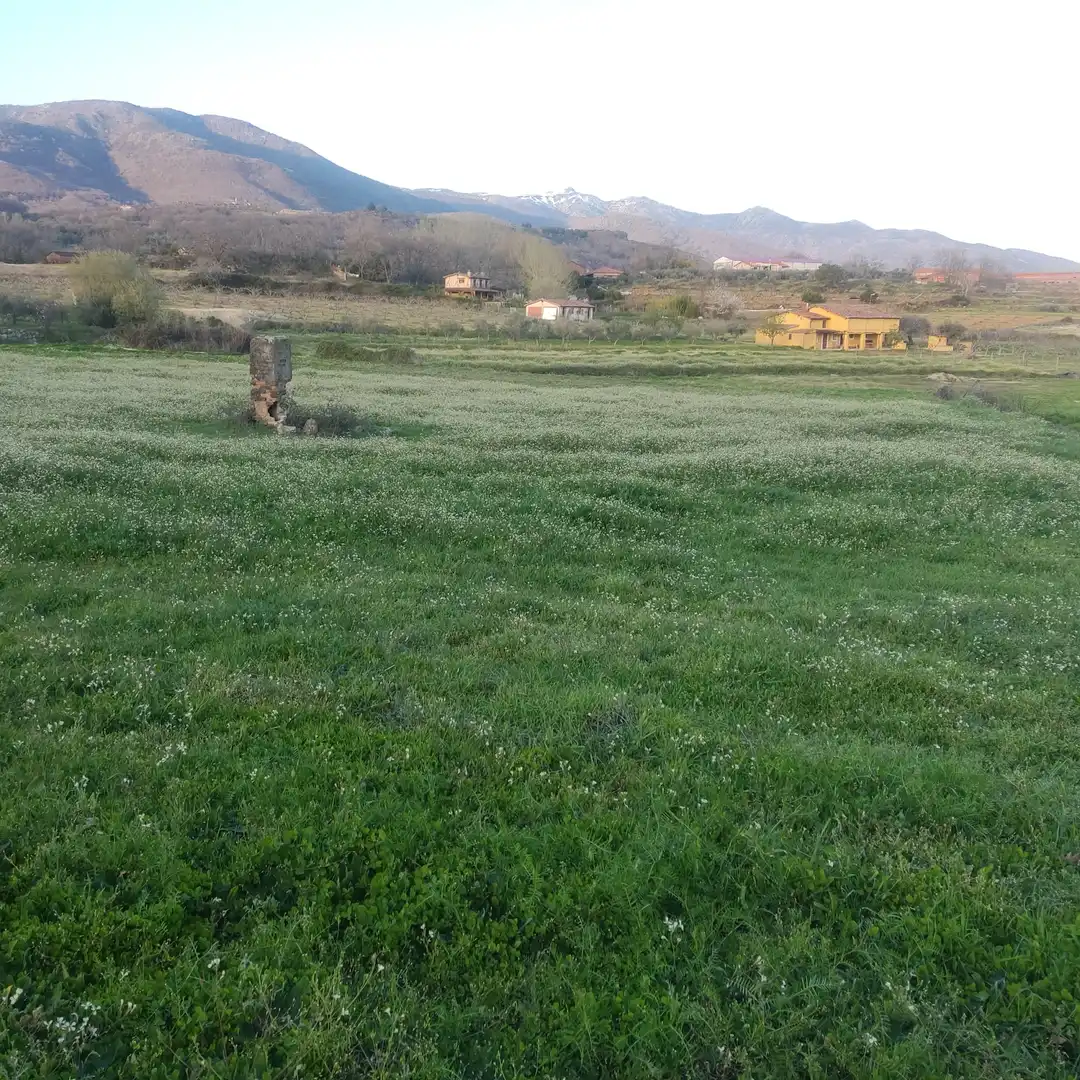 Terreni e lotti in vendita a Avenida de Doña Soledad Vega Ortiz, imagen 6