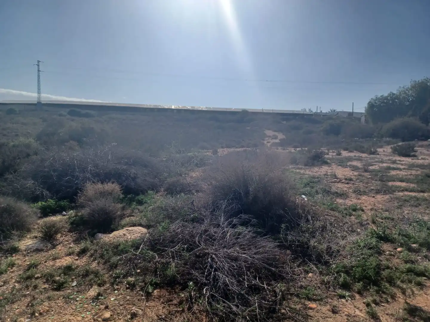 Terreno residenziale in vendita a Las Norias, imagen 5
