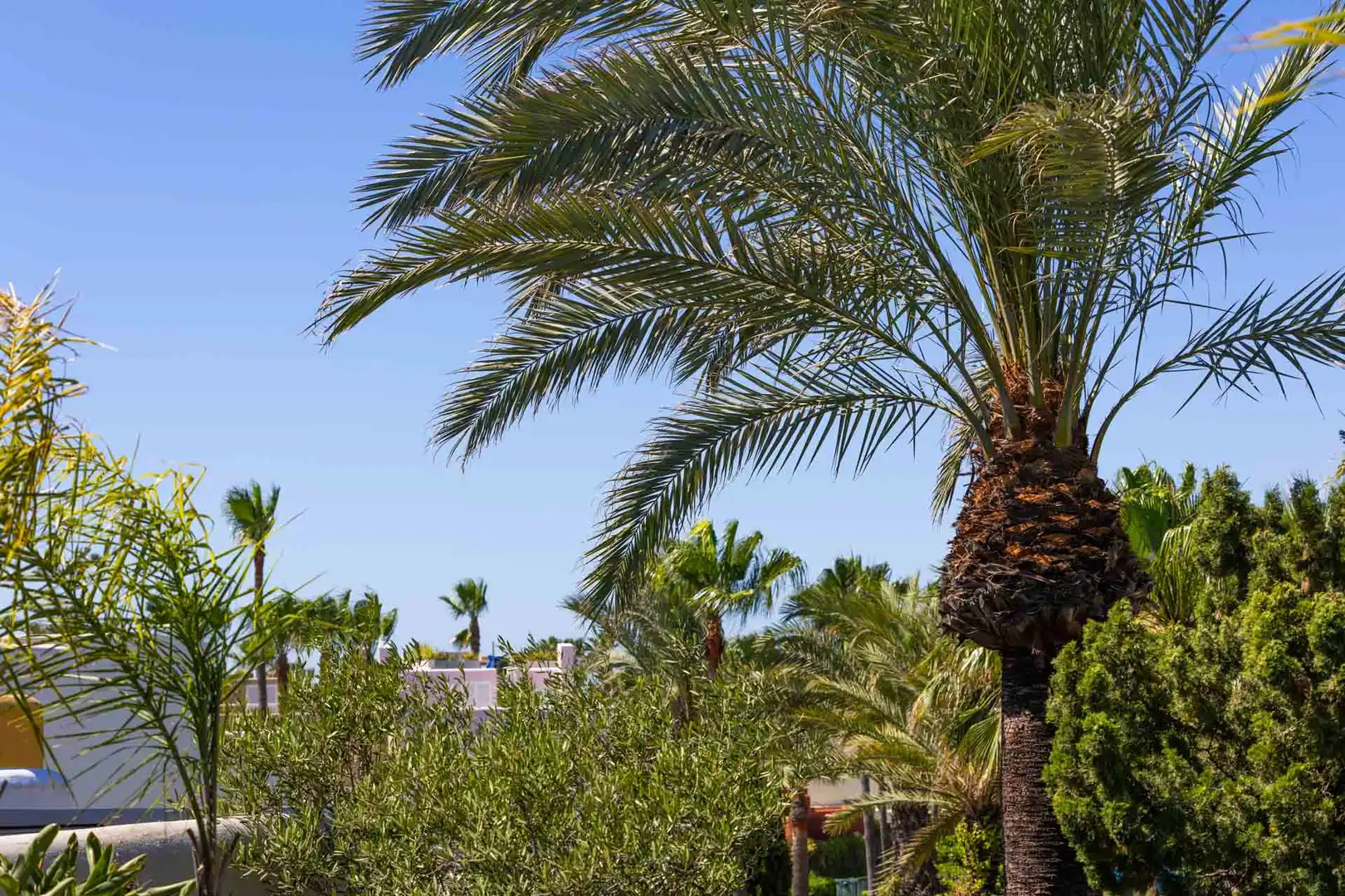 Exterior view of Detached homes for sale in Sotogrande  with Air Conditioner, Private garden and Terrace