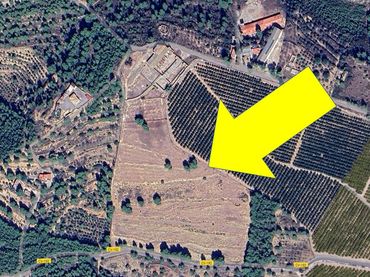 Terreno rustico in vendita a Carrer Pintor Ferrer