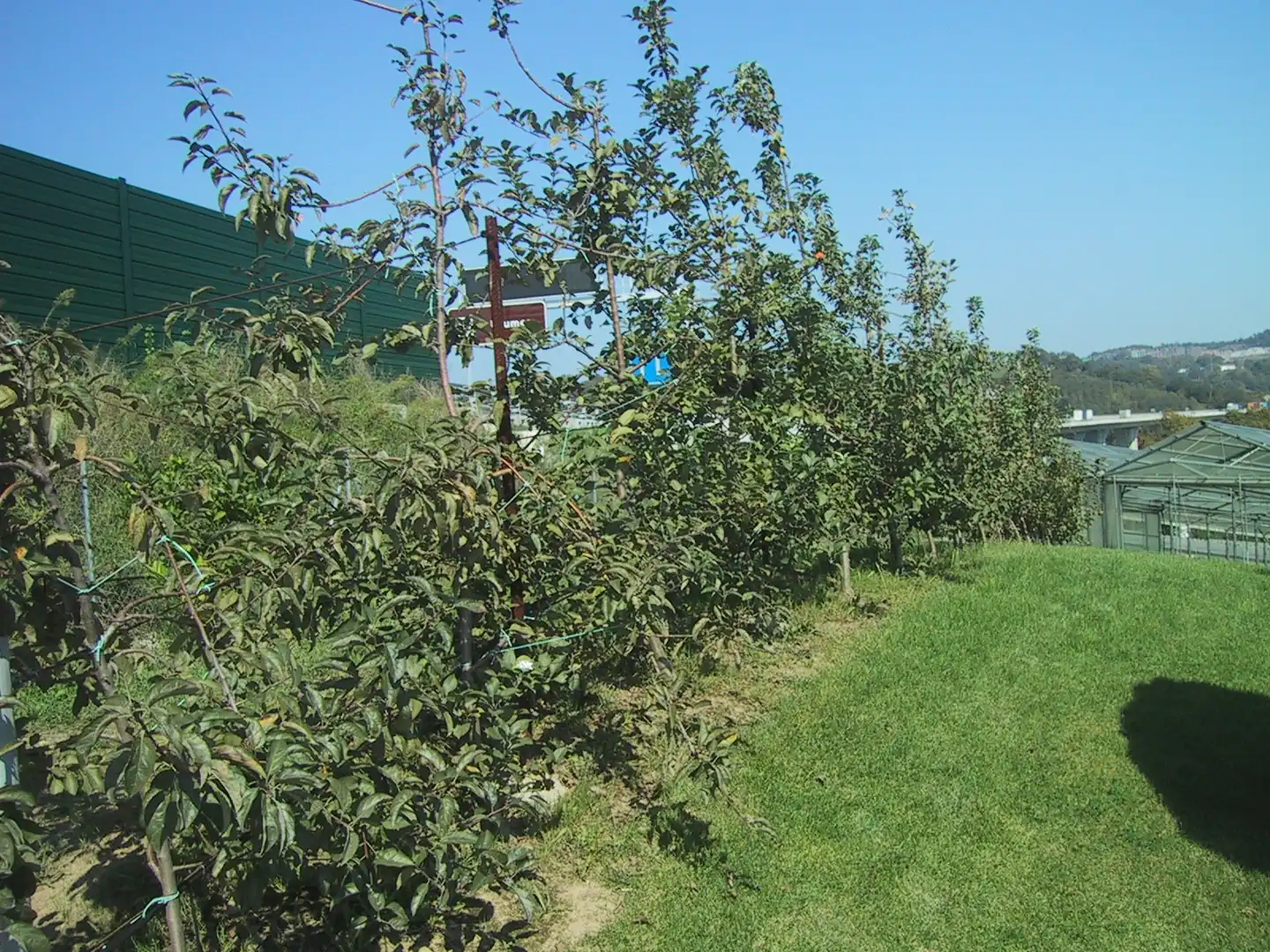 Garden of Land for sale in Donostia - San Sebastián 
