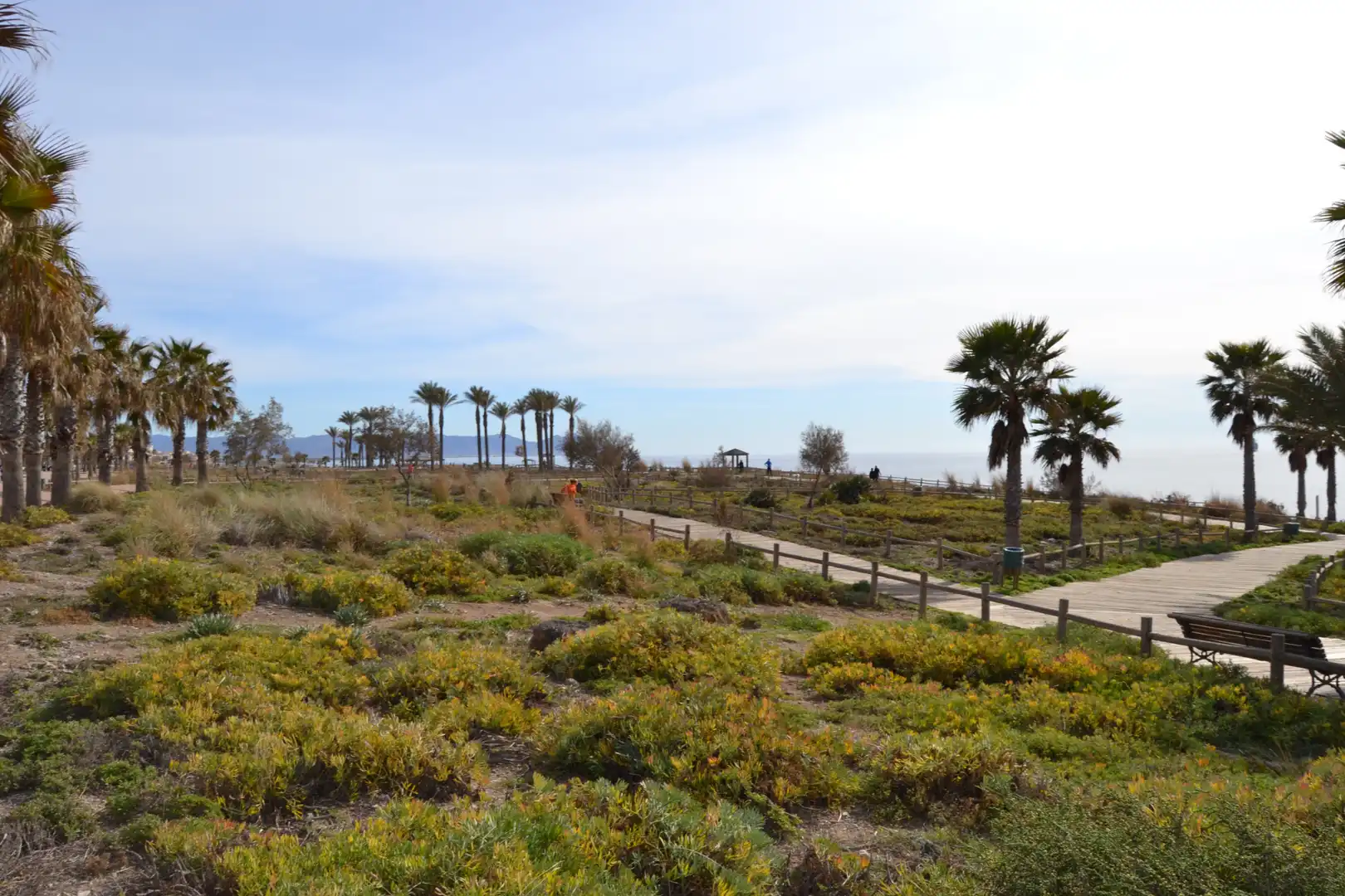 Vista exterior de Casa o chalet en venta en Almería con Aire acondicionado, Jardín privado y Terraza