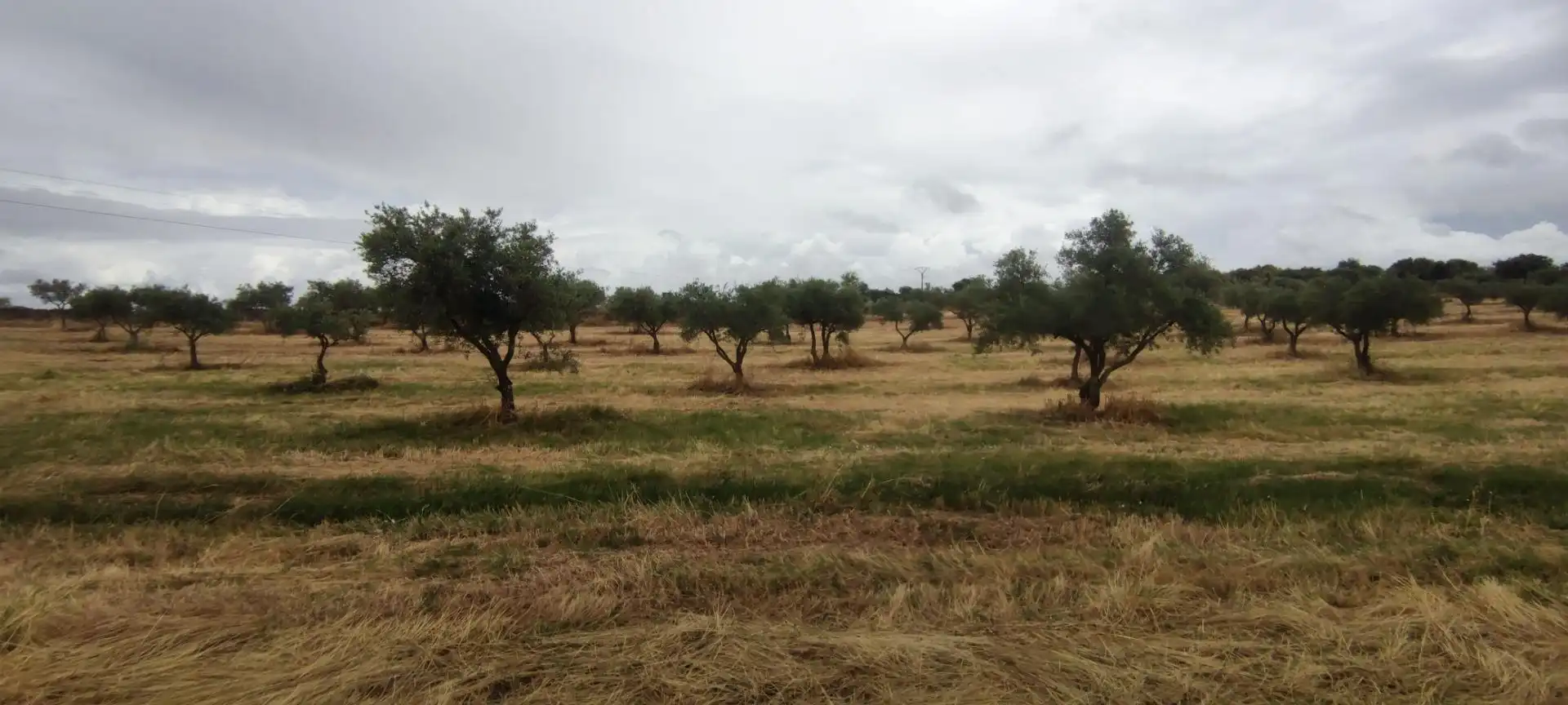 Terreni e lotti in vendita a Garrovillas de Alconétar, imagen 10