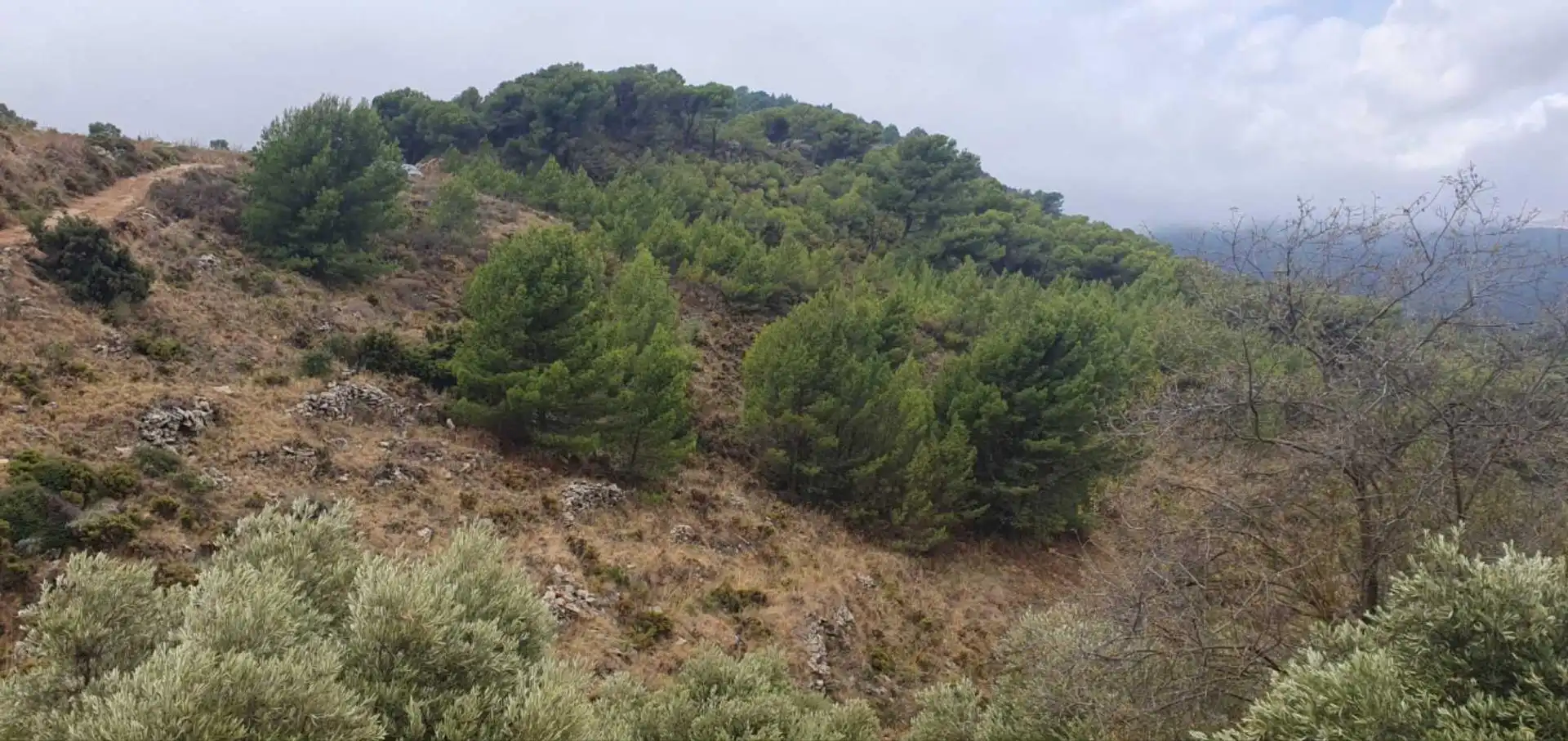 Terrenos y solares en venta en Yunquera, imagen 7