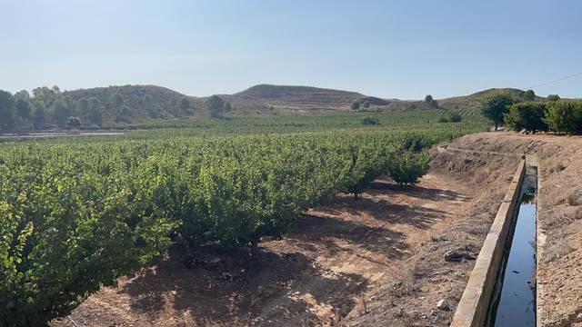 Terreno en Venta en N/A, -1 en San Miguel