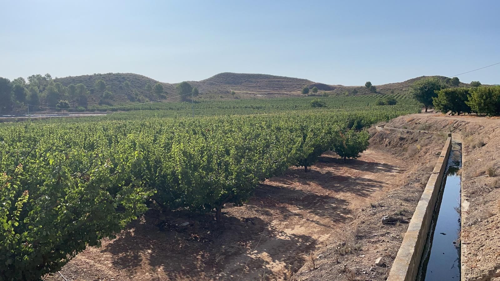 Exterior view of Land for sale in  Murcia Capital