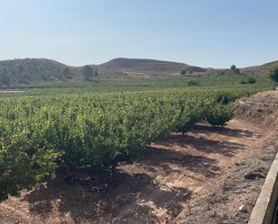 Exterior view of Land for sale in  Murcia Capital