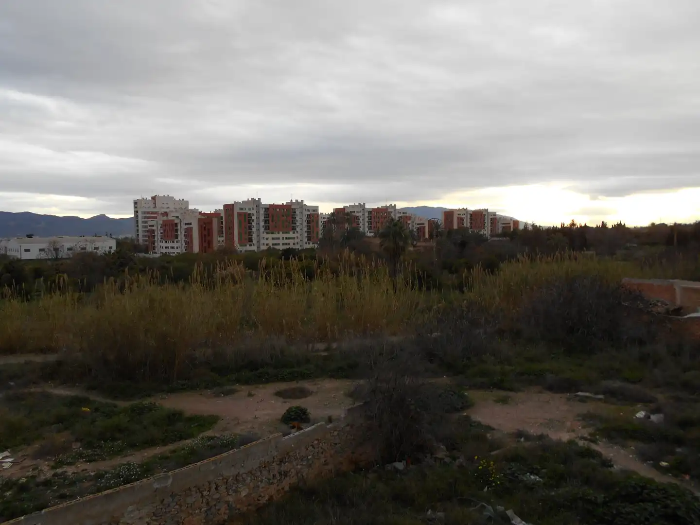 Vista exterior de Casa o chalet en venta en Pedanías Norte