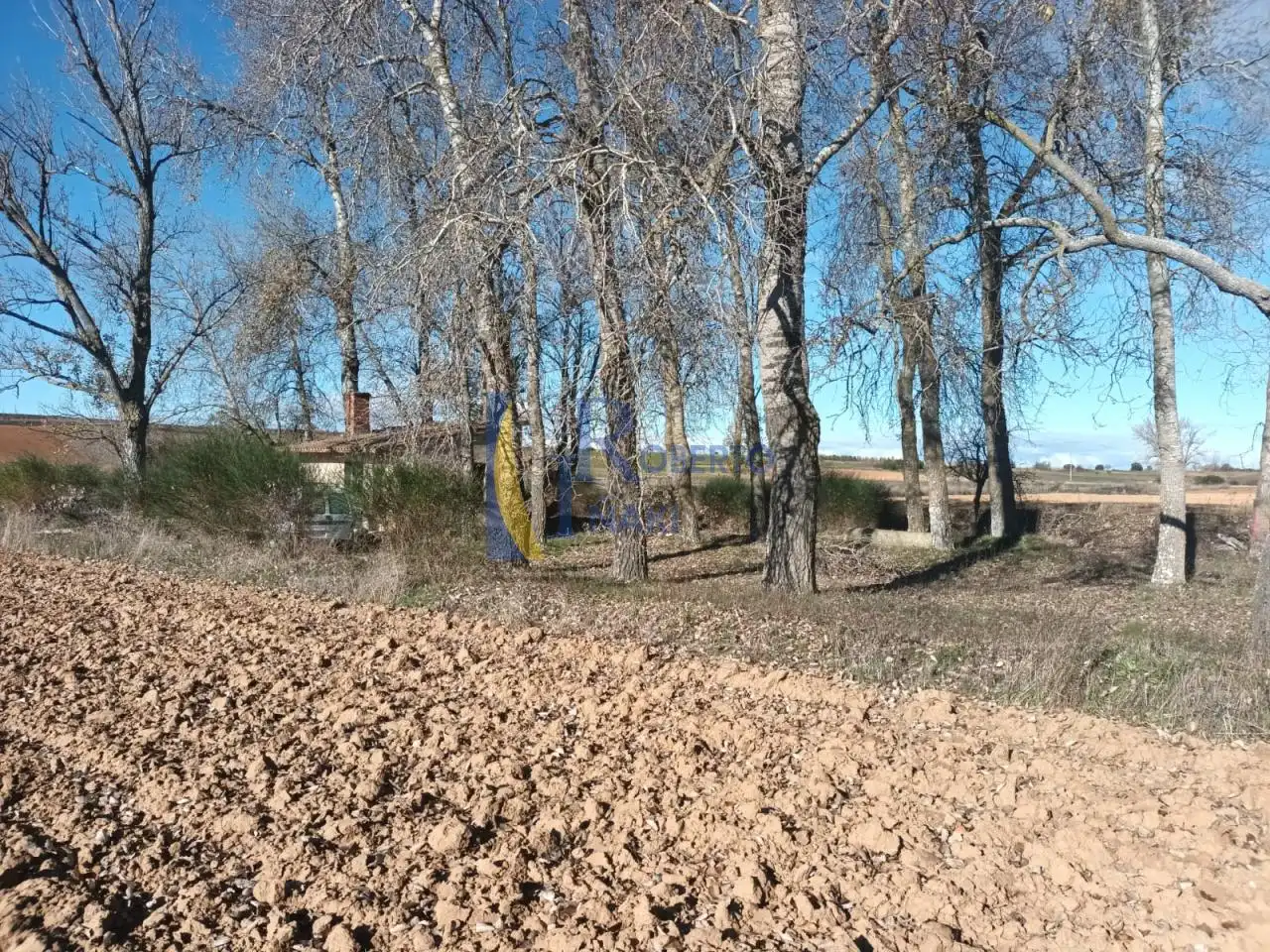 Terreno en venta en Valdemora