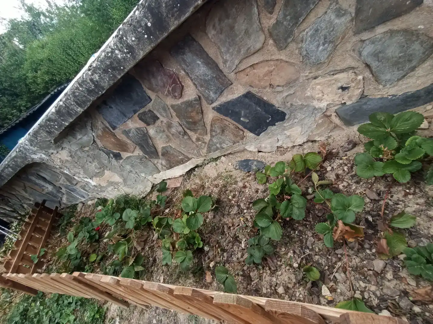Jardín de Casa o chalet en venta en Valle de Tobalina con Jardín privado, Trastero y Piscina