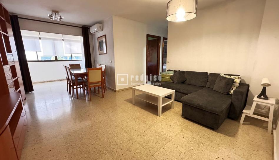 Photo 1 of Flat to rent in Carril de la Cordobesa, La Princesa, Málaga