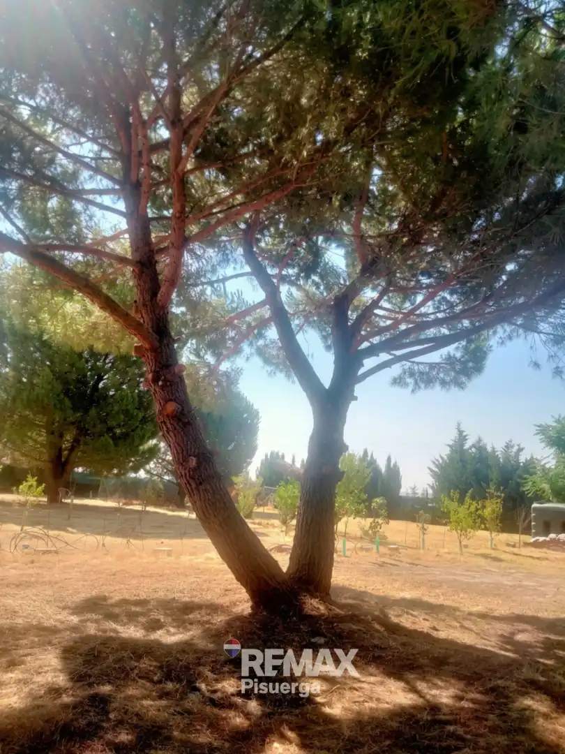 Terreni e lotti in vendita a Lugar Comun Viejo 2, imagen 12