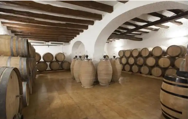 Landhaus mit Pool zum Verkauf in El Molar (Tarragona), imagen 34