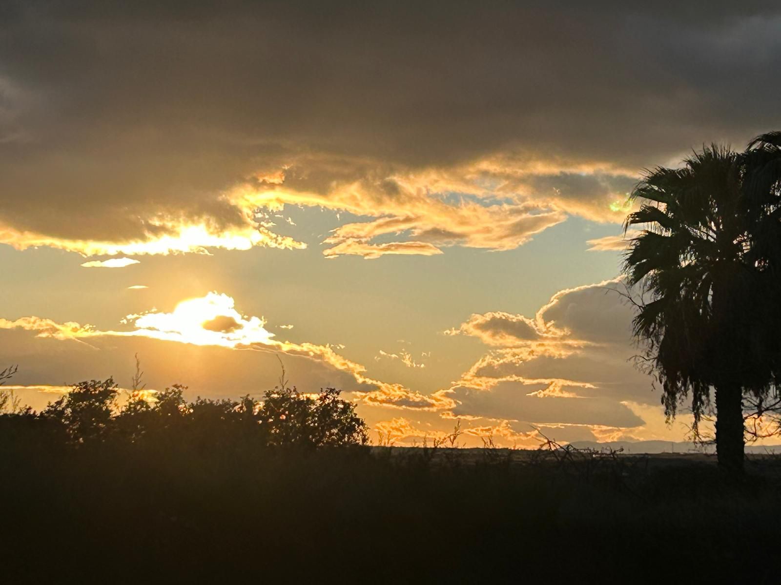 Vista exterior de Casa o xalet en venda en Villaviciosa de Odón amb Aire condicionat, Calefacció i Jardí privat
