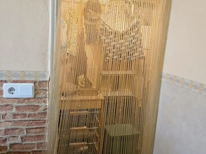 Adossat en venda a Calle del Pilar 11, imagen 2