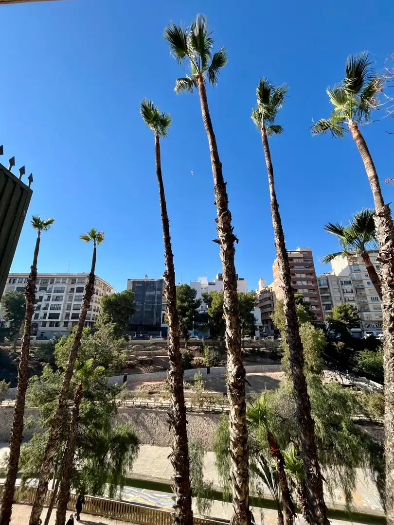 Vista exterior de Planta baixa en venda en Elche / Elx amb Aire condicionat, Calefacció i Terrassa
