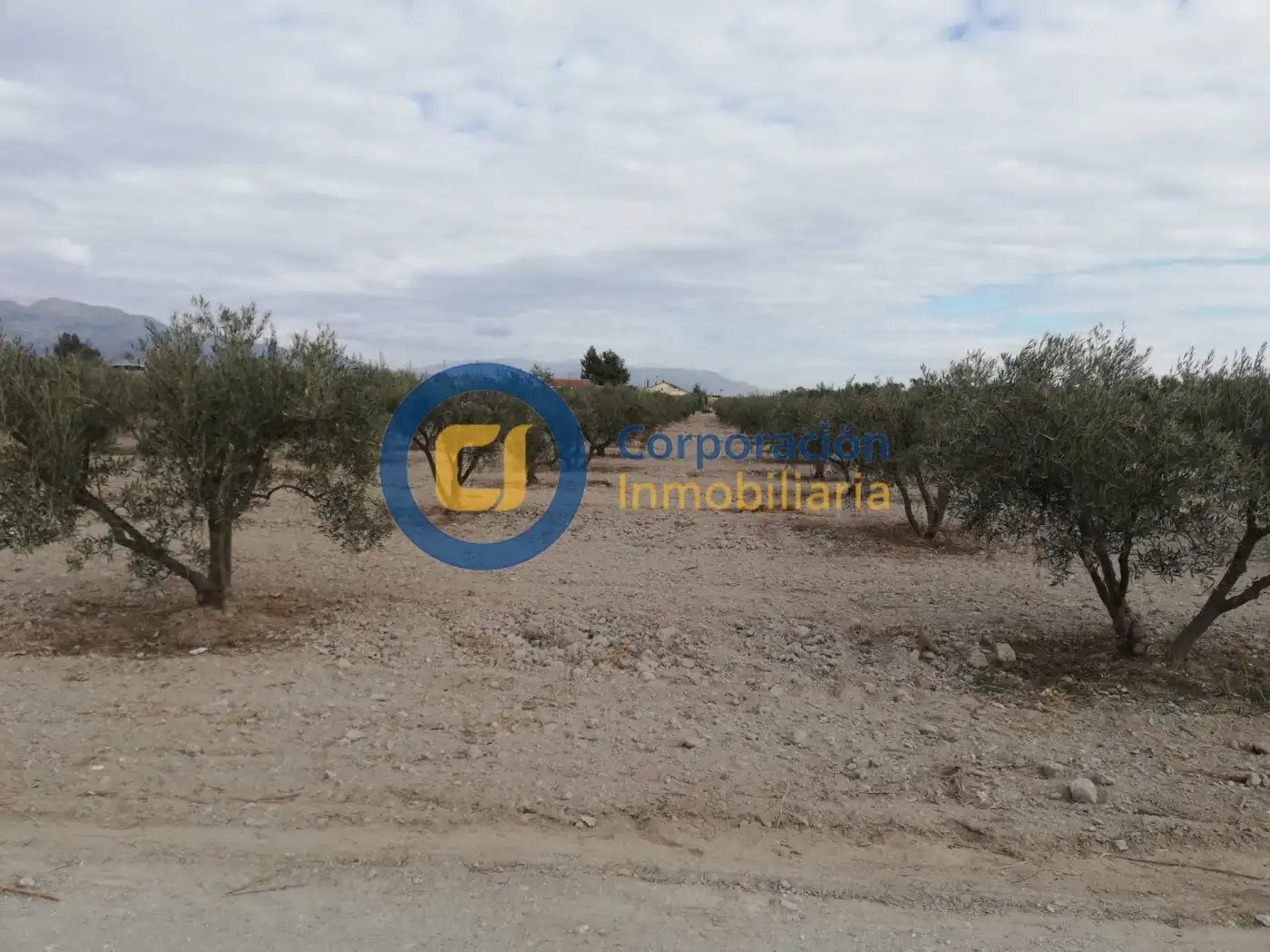 Terreny residencial en venda a Puerto Lumbreras, imagen 12