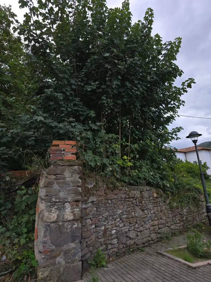 Residential land for sale in Mieres - BO VILLA, imagen 12