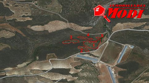 CINCO FINCAS POR EL PRECIO DE UNA , es algo bueno  no te los crees ? Llámame. Te ofrecemos 8.148 m2 en total y por separado  tiene, imatge 4