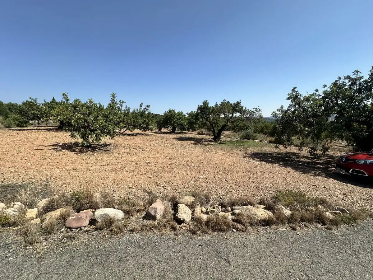 Terreno residencial en venta en Alfara de la Baronia, imagen 5