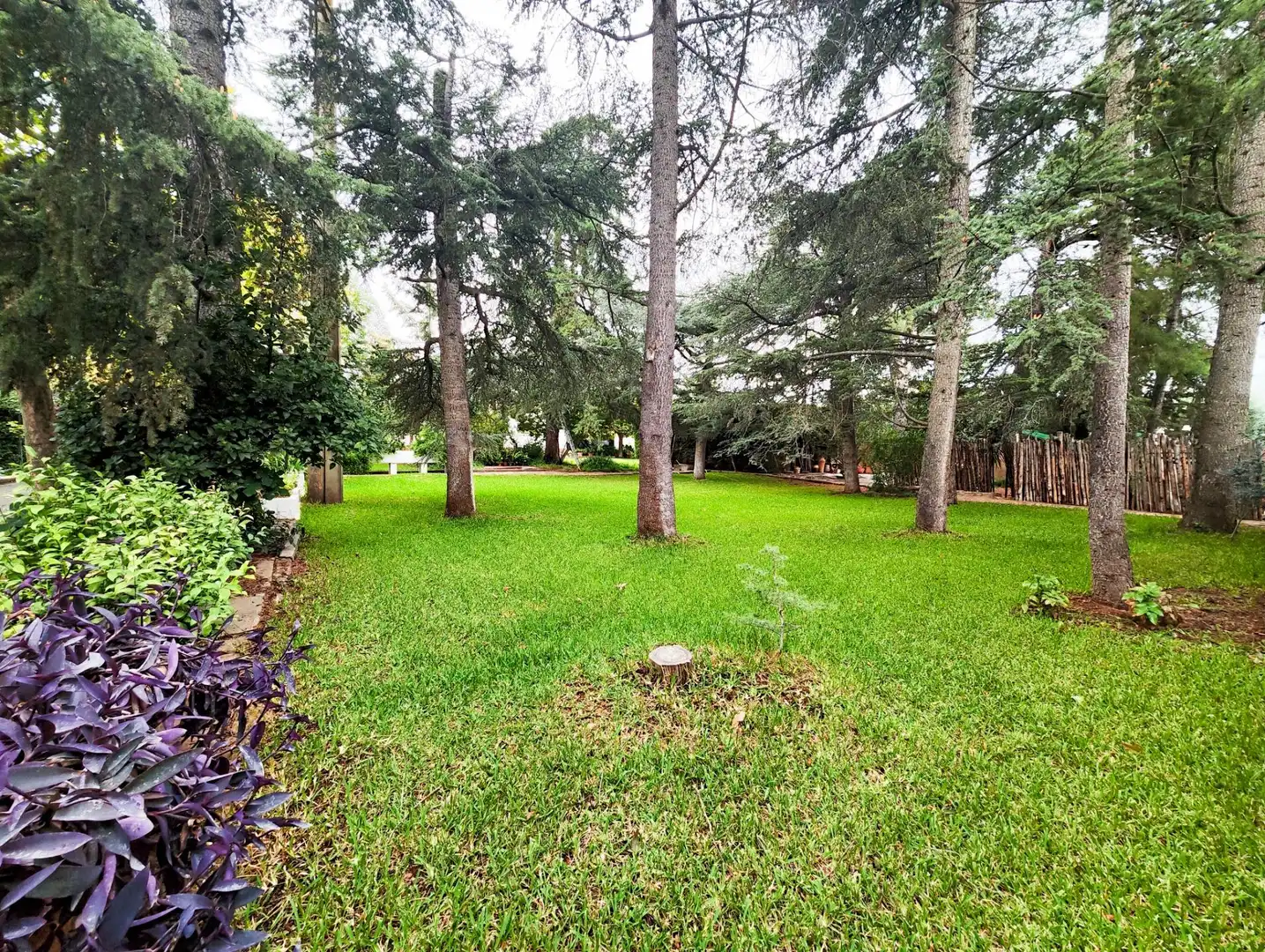 Casa o chalet en venta en CM-4110, PAU 2-600