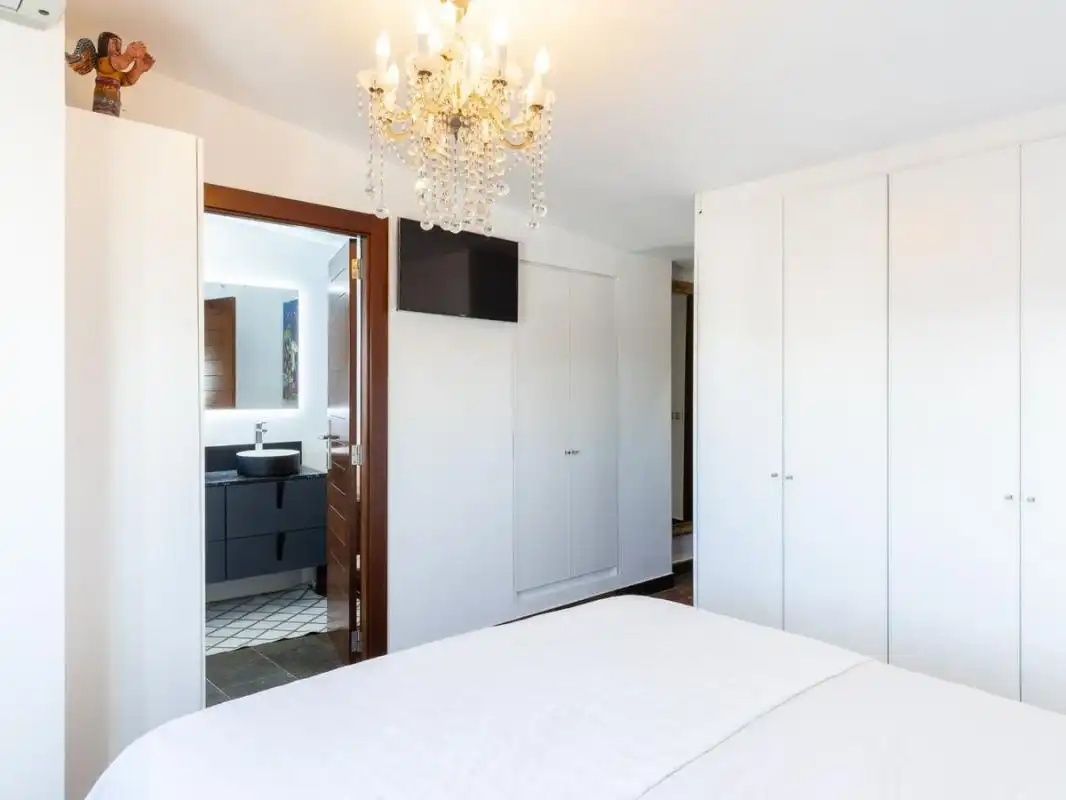 Penthouse mit Terrasse zum Verkauf in Carrer de Pizarro, imagen 28