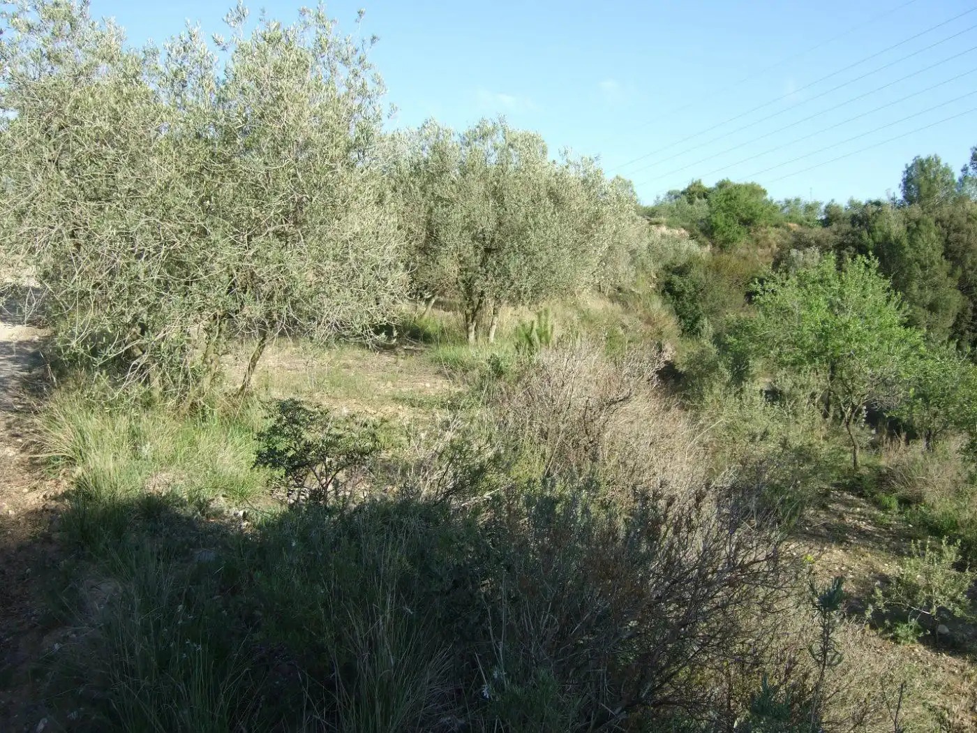 Residential land for sale in Castellbisbal, imagen 4