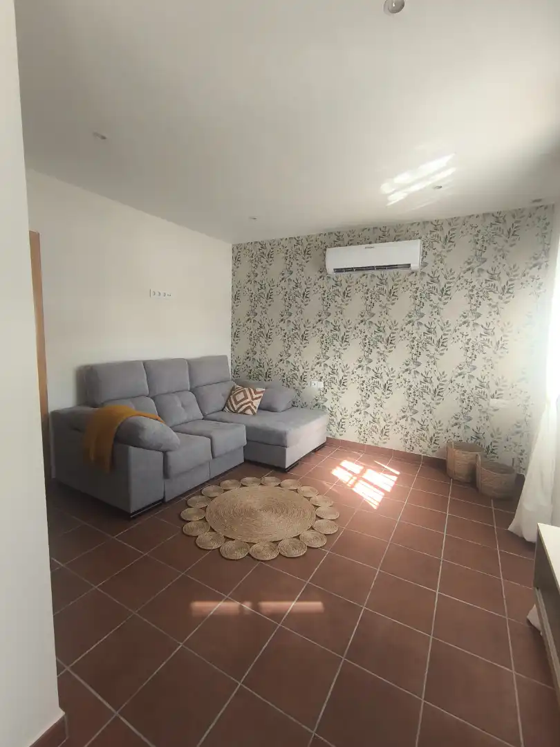 Sala d'estar de Apartament de lloguer en Málaga amb Aire condicionat i Moblat