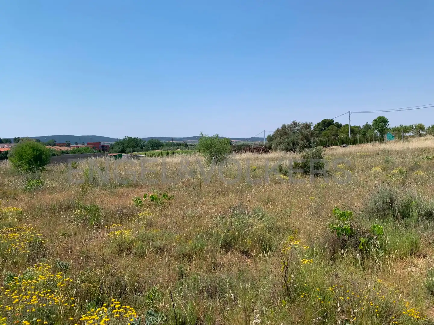 Terreny rústic en venda a Requena, imagen 14