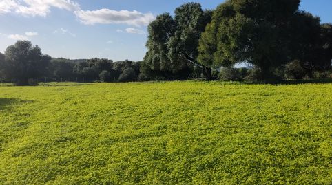 Photo 3 of Country homes for rent in Medina Sidonia, Cádiz