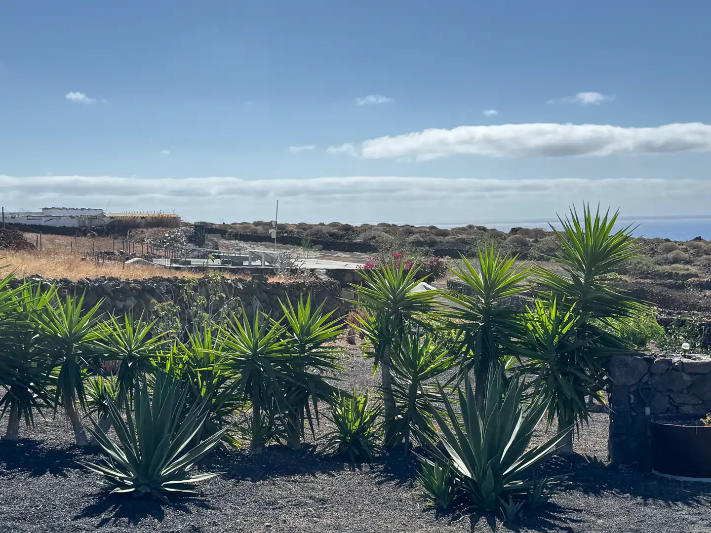 Land for sale in Haría