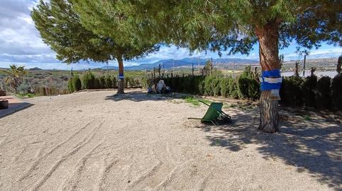 Photo 4 of House or chalet for sale in Lugar Cañarico, Alhama de Murcia ciudad, Murcia