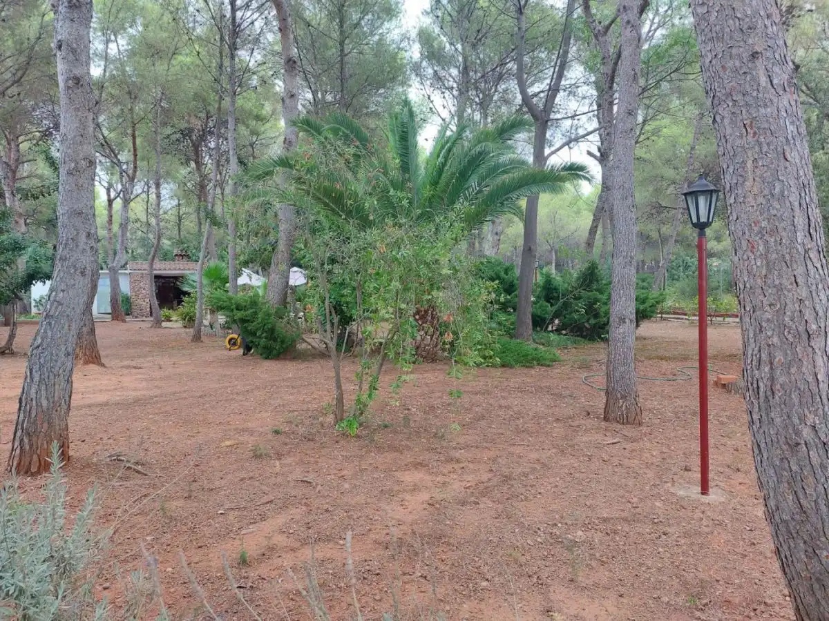 Xalet amb piscina en venda a La parreta, imagen 20