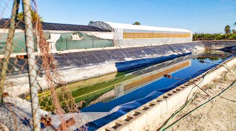 Foto 5 de Finca rústica en venda a Partida Elche, Centro, Alicante